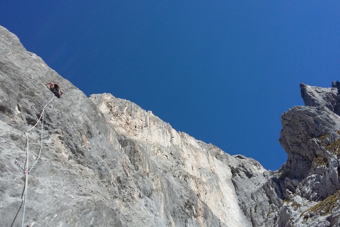 Kingspitz – Hofnarr