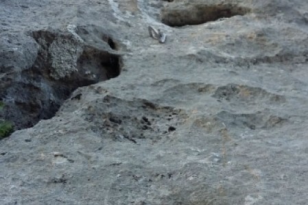 Stockenfluh – Tonic