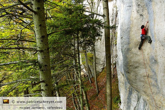 Le Vaferdau/Delemont